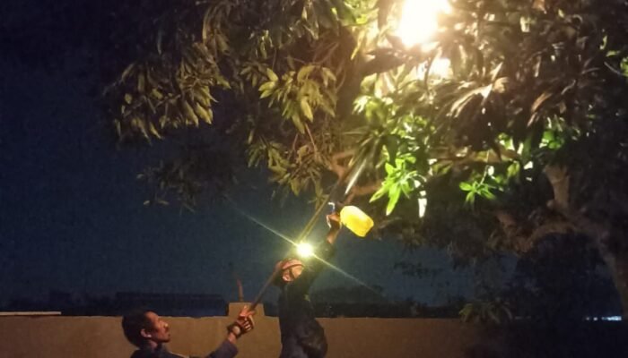 Tawon Vespa Bikin Panik Warga, Damkar Pemalang Turun Tangan