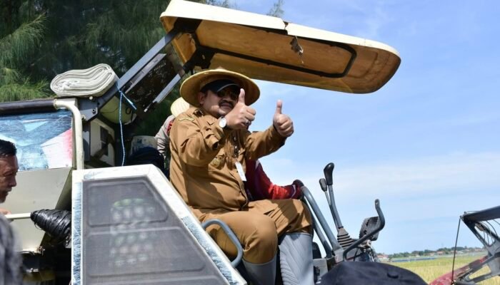 Panen Padi M70D Tembus 10 Ton/Ha, Bupati Pemalang Katakan : Kita Bisa Tingkatkan Sumber Pangan