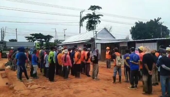 Pabrik Pakan Ternak Serap Tenaga Lokal, Ekonomi Warga Terangkat