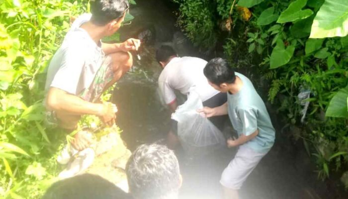 Desa Kretek Lestarikan Sungai, Solusi Kurangi Gawai Anak-Anak Diajak Tabur Benih Ikan