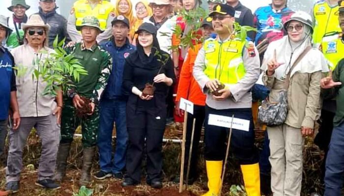 Perhutani dan Forkopimda Brebes Tanam 1.000 Pohon di Lereng Gunung Slamet