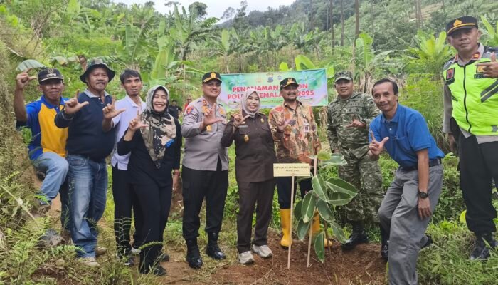 Hijaukan Pulosari: Dandim dan Forkopimda Pemalang ‘Kepung’ Lahan Kritis dengan 1.200 Pohon
