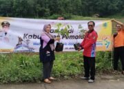 Peringati HUT Pemalang, Desa Gunungbatu Hijaukan Ruas Jalan Menuju Desa Pasir Dengan Ratusan Pohon