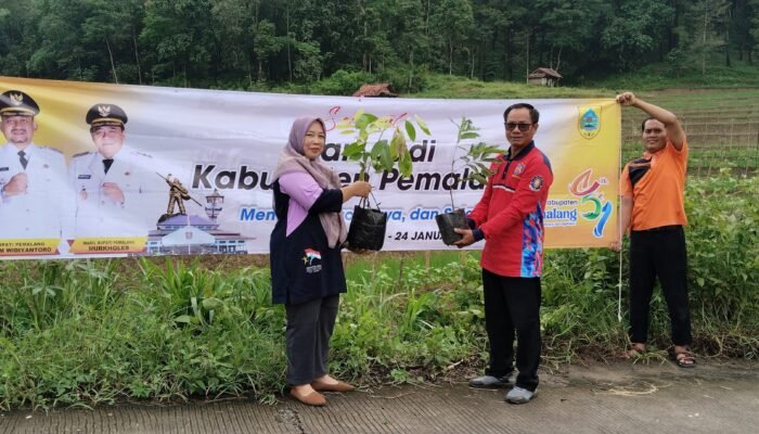 Peringati HUT Pemalang, Desa Gunungbatu Hijaukan Ruas Jalan Menuju Desa Pasir Dengan Ratusan Pohon