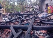 Ditinggal Pemilik, Si Jago Merah Ngamuk Melahap Rumah Warga Desa Longkeyang