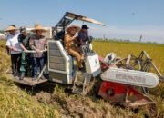 Jateng Bidik 10,5 Juta Ton Padi, Alih Fungsi Lahan Terancam Pidana