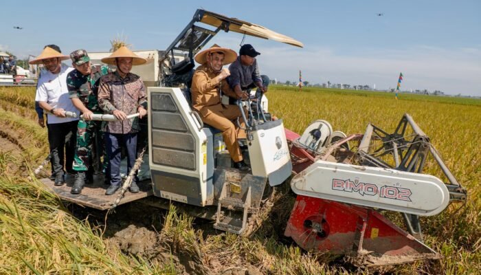 Jateng Bidik 10,5 Juta Ton Padi, Alih Fungsi Lahan Terancam Pidana