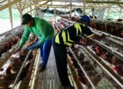 Jalan Mulus Ekonomi Melejit, Potret Kemandirian Desa di Sragen