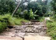 Jalan Poros Desa Di Dusun Bumen Desa Cening Alami Amblas dan Longsor
