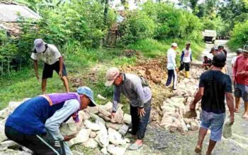 Warga Dari 2 Desa di Kabupaten Brebes Perbaiki Jalan Rusak Secara Swadaya