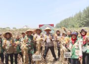 Panen Raya Jagung Di Desa Jungsemi, Kapolres Kendal: Bagian Dari Dukungan Terhadap Program Ketahanan Pangan Nasional
