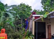 Cuaca Ekstrem di Gunungkidul-DIY Akibatkan Pohon Tumbang Menimpa Rumah