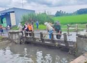 Cegah Banjir, TNI-Polri dan Warga Comal Kompak Bersihkan Sungai Banger