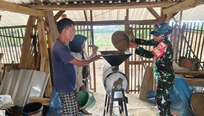 Sosok Pak Salim: Lansia di Brebes yang Gratiskan Jasa Giling Padi bagi Petani