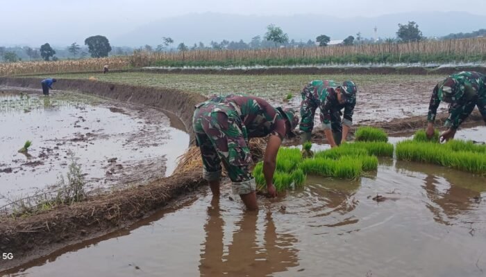Sinergi TNI-Rakyat: Koramil Randudongkal Genjot Ketahanan Pangan di Tehnopark
