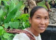 Wajah Baru Desa Cikuya: Jalan Berlumpur Kini Berganti Rabat Beton Kokoh