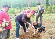 PDI Perjuangan Tegal Gelar Gerakan Menanam 3.000 Pohon di Lereng Gunung Slamet, Harris Turino: Wujud Nyata Kecintaan pada Bumi Pertiwi