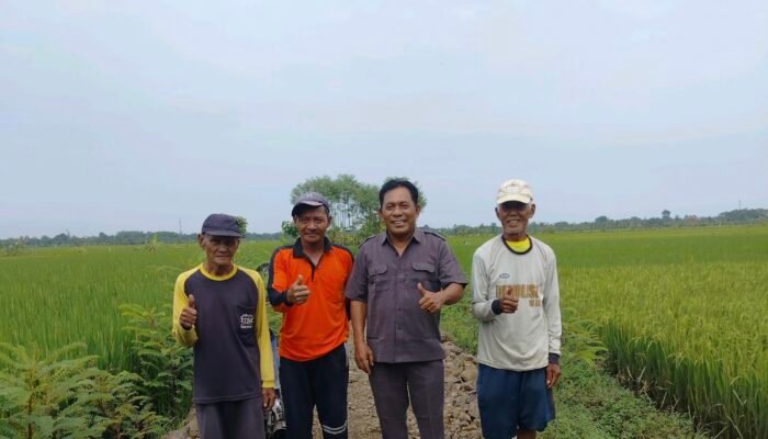 Slamet Ramuji Desak Perbaikan Jalan Usaha Tani Pascabanjir Pemalang