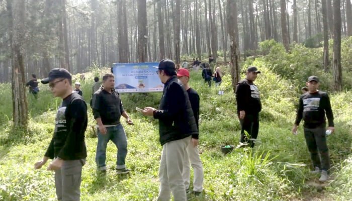 Peduli Kelestarian Hutan Lindung Di Kawasan Guci Anggota PWI Jawa Tengah Tanam Bibit Pohon Pinus dan Mahoni