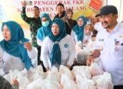 Tekan Inflasi Hingga Level Desa, Pemkab Pemalang Gelar Pasar Murah di Pulosari