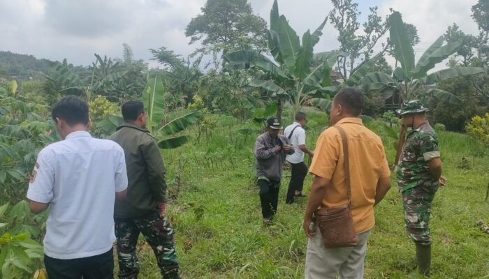 Danramil Watukumpul Pantau Kesiapan Lahan Strategis KDKMP di Medayu