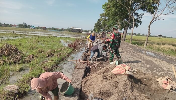 Sinergi Tanpa Batas! TNI-Warga Klareyan Kebut Pembangunan Talud 778 Meter