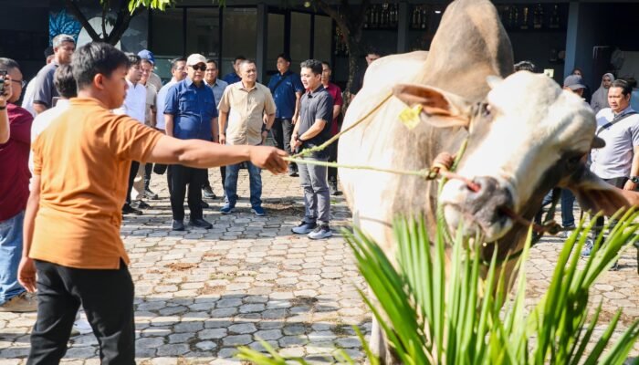 Inspirasi Milenial: Berkah Setia Farm Ubah Wajah Peternakan Jateng