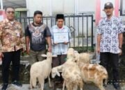 Pulihkan Ekonomi Pascabencana, Pemkab Pemalang Tebar Ribuan Benih Ikan dan Ternak