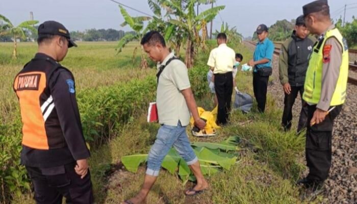 Lansia di Ampelgading Tewas Tertabrak Kereta Api, Keluarga Sebut Korban Idap Komplikasi