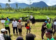 Dari Pangalengan, Holding Perkebunan Nusantara Perkuat Konservasi Lingkungan melalui PTPN I