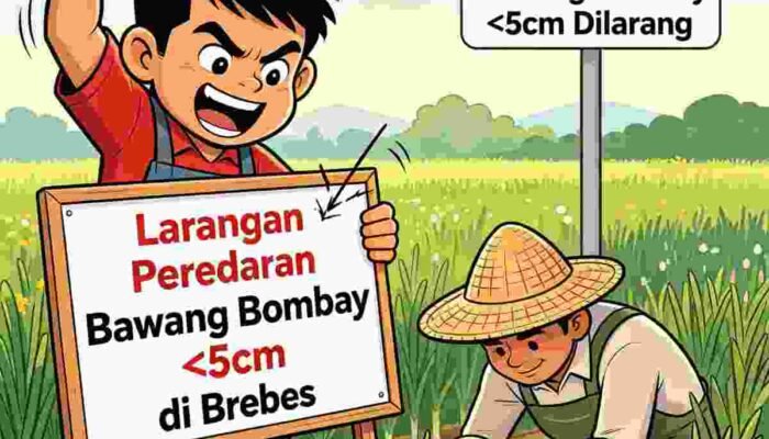 Panen Raya Dekat, Landep Dukung Pemkab Brebes Blokir Bawang Bombay Kecil