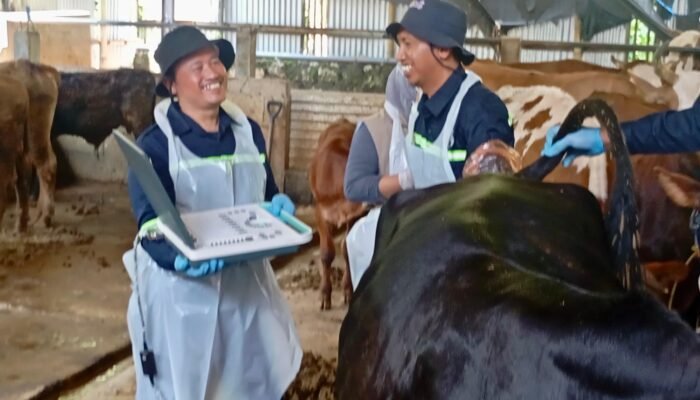 Jateng Surplus Ratusan Ribu Ternak Kurban, Pengawasan Perbatasan Diperketat!