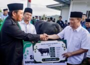 Iduladha di Huntara Tegal: Ahmad Luthfi Kurban Sapi 9 kuintal