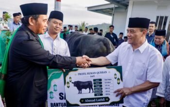Iduladha di Huntara Tegal: Ahmad Luthfi Kurban Sapi 9 kuintal