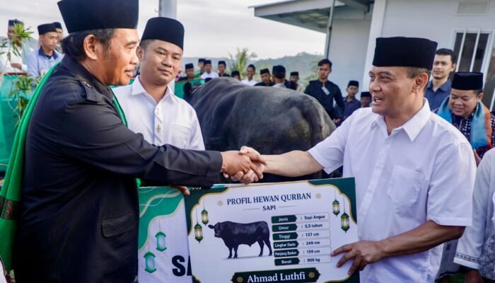 Iduladha di Huntara Tegal: Ahmad Luthfi Kurban Sapi 9 kuintal