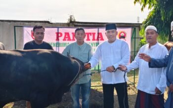 Idul Adha 1447 H: Dandim Pemalang Salurkan Hewan Kurban untuk Ratusan Warga