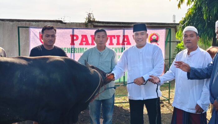 Idul Adha 1447 H: Dandim Pemalang Salurkan Hewan Kurban untuk Ratusan Warga