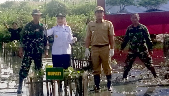 Tanam Bibit Mangrove Di Desa Pidodo Kulon, Bupati Kendal: Menanam Mangrove Adalah Menanam Harapan