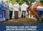 Masjid Al Hidayah Terima Sapi Kurban Presiden Prabowo dari Bupati Pemalang
