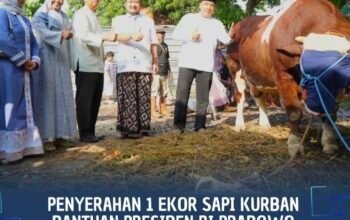 Masjid Al Hidayah Terima Sapi Kurban Presiden Prabowo dari Bupati Pemalang