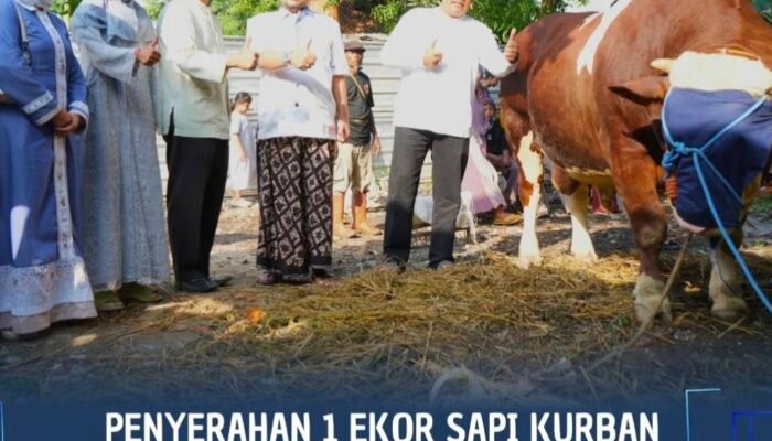 Masjid Al Hidayah Terima Sapi Kurban Presiden Prabowo dari Bupati Pemalang
