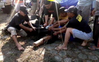 Idul Adha 1447 Hijriyah Di Perumahan Daerah Kendal Dilaksanakan Shalat Id dan Penyembelihan Hewan Kurban