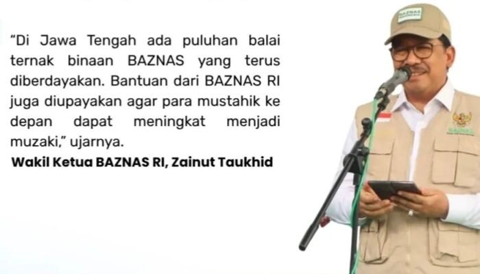 Gebrakan BAZNAS! Kelola DAM Haji Demi Dongkrak Ekonomi Peternak Lokal