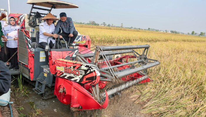 Gubernur Luthfi: Jateng Siap Hadapi Kemarau Demi Target Padi