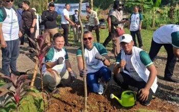 Lakukan Penghijauan dan Lestarikan Alam, KPP Bogor Raya Tanam Pohon di Kawasan Kayu Manis