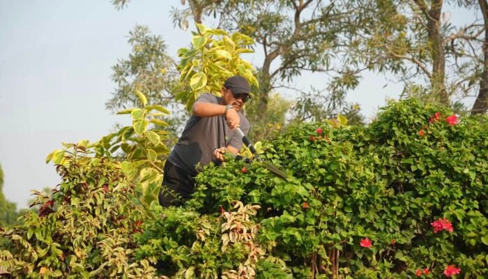 Pimpin Jumat Bersih, Bupati Anom Widiyantoro Tata Wajah Alun-alun Pemalang