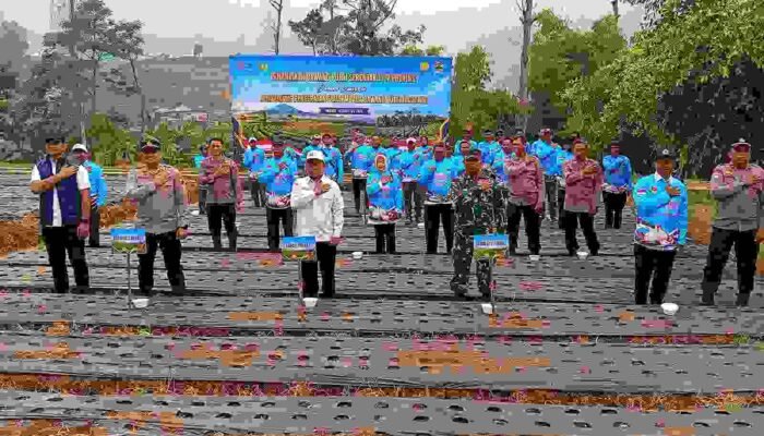 Polres Brebes Dan Pemkab Sinergi Gelar Penanaman Bawang Putih Serentak Dukung Program Swasembada Pangan Nasional