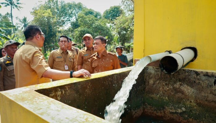 Solusi Cerdas Pertanian Mandiri, Wujudkan Ketahanan Pangan Berkelanjutan Gunakan Pompa Surya.