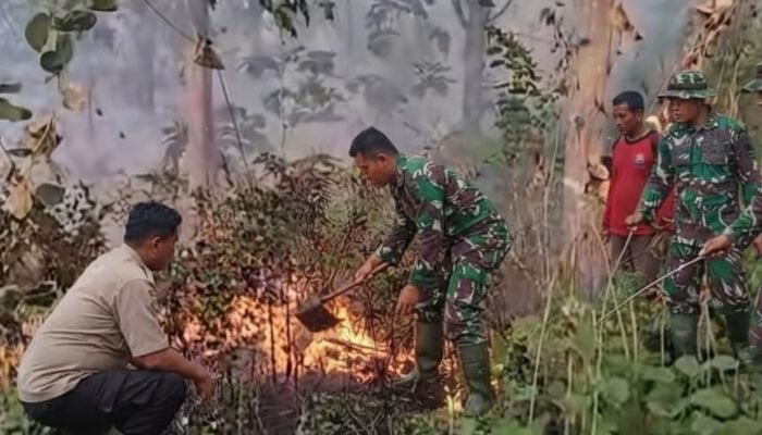 Hutan Jati Pemalang Terbakar, Gercep Kodim 0711/Pemalang Blokir Laju Api!