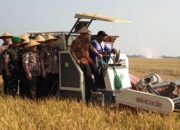Panen Raya Padi di Pemalang, Gubernur Jateng & Dandim Perkuat Ketahanan Pangan Nasional